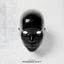 Cover Paradigm Shift