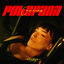 Cover POLUPANA