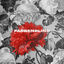 Cover Farbenblind