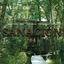 Cover #4 Sanación