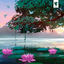 Cover Hidden World