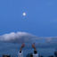 Cover Moonlight