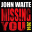 Cover Missing You