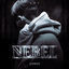 Cover Nebel