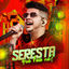 Cover Seresta Que Fala Né