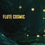 Cover Flute Cosmic
