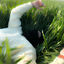 Cover miss pose