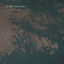 Cover In the Shadows