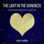 Cover The Light in the Darkness (A Kingdom Hearts Collection)
