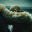 Cover Lemonade