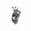 Cover lieder vom leben