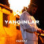 Cover Yanginlar