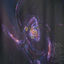 Cover Phantom Bruise
