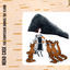 Cover Fox Confessor Brings The Flood (Bonus Track Version)