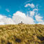 Cover Wind