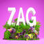 Cover ZAG
