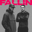 Cover Fallin