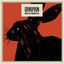Cover Black Rabbits