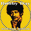 Cover Rockin' Robin