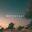 Cover Neverwake