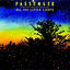 Cover All the Little Lights (Deluxe)