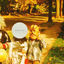 Cover Curtis Lane