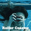 Cover Roller Coaster
