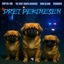 Cover Drei Pekinesen
