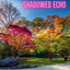 Cover Shadowed Echo
