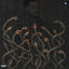 Cover Snake