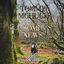 Cover Tommy McHugh b/w Some News