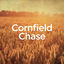 Cover Cornfield Chase (Piano-Cello Version)