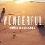 Cover Wonderful