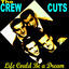 Cover Life Could Be a Dream