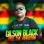 Cover Feel The Vibration (feat. GILSON BLACK)