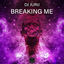 Cover Breaking Me