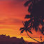 Cover Sunset