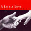 Cover A Little Love