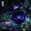 Cover Hurt (feat. Zack Gray)
