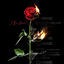 Cover I Ke Harru