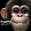Cover Apelogies