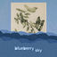 Cover Blueberry Sky