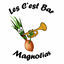 Cover Magnolias