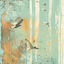 Cover Feathers of the Earthy Forest