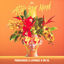 Cover Alter Your Mind (ALT)