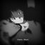 Cover Wach