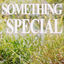Cover something special