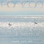 Cover Horizon