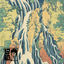 Cover Rosehip