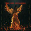Cover Noel sous les flammes